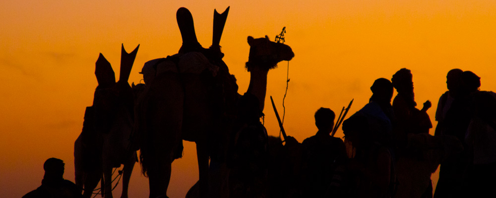 The Festival in the Desert Photo Gallery